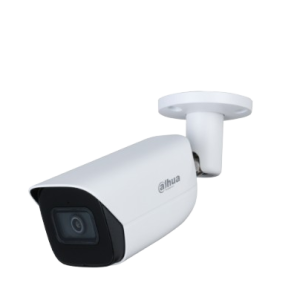Camara IPCHFW3441EASS2