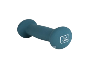 Stingray mancuerna metalica