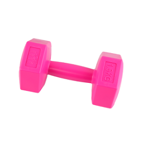 Mancuerna dumbbell